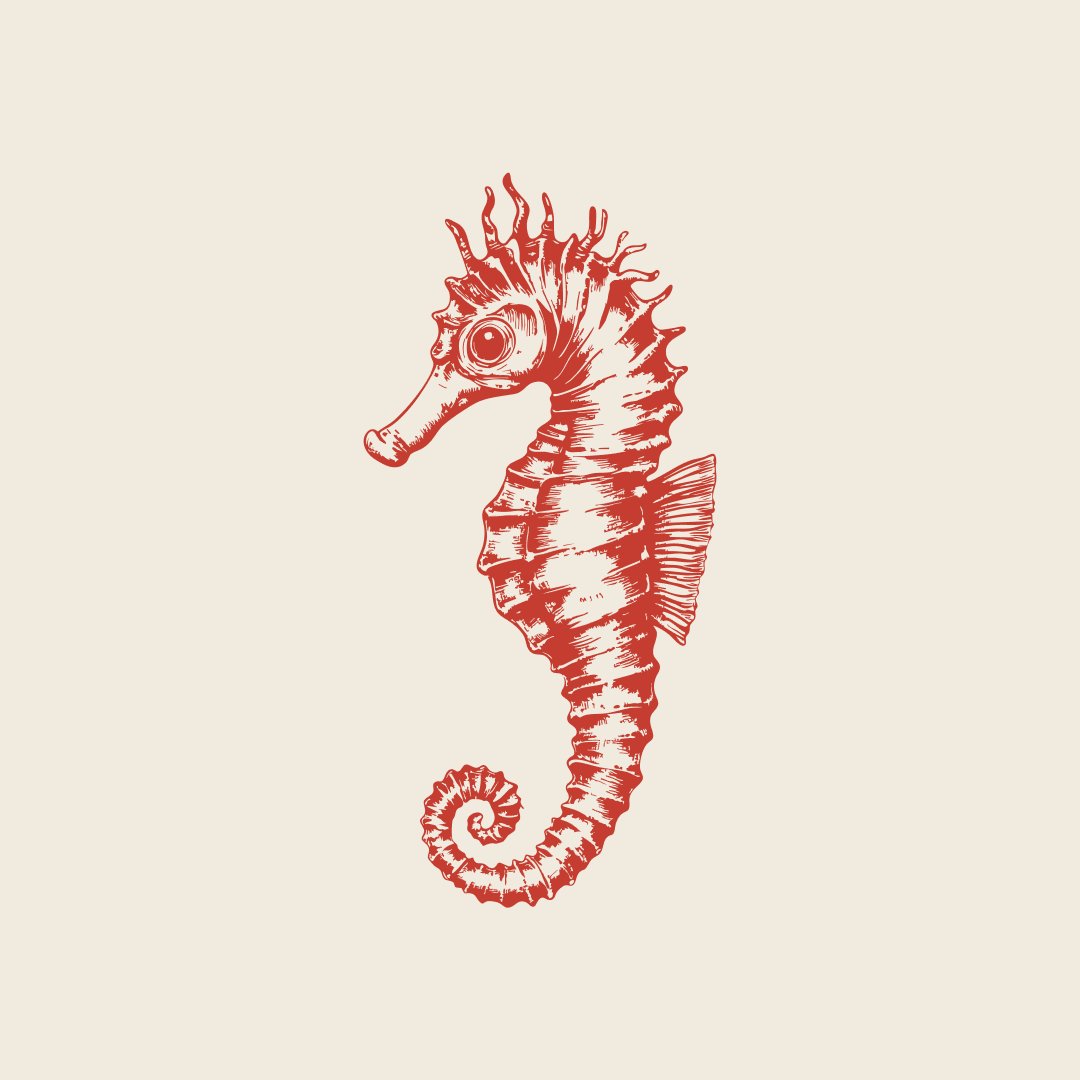 Ilustração em gravura de um cavalo-marinho em vermelho coral