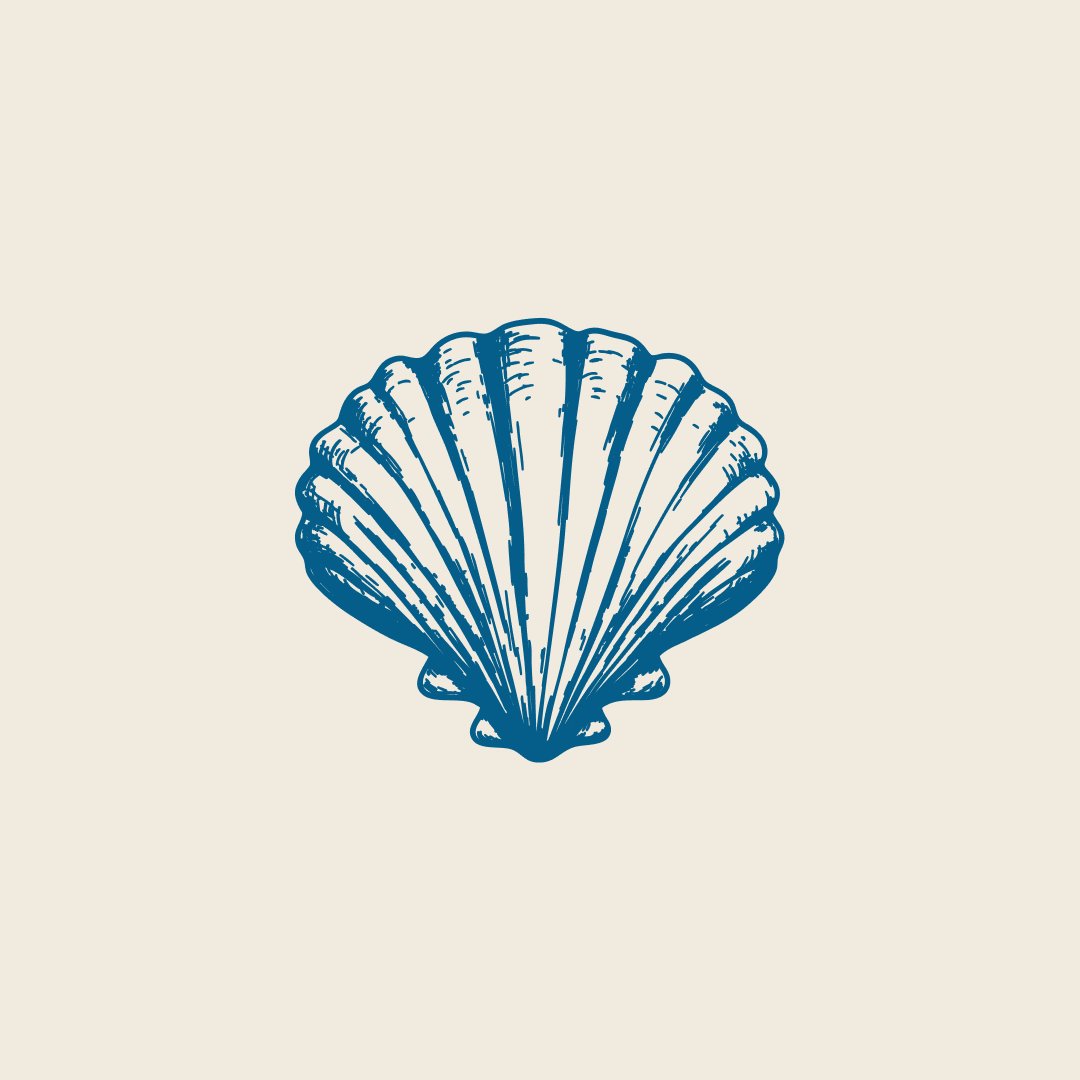 Ilustração em gravura de uma concha de vieira em azul, o símbolo principal da marca